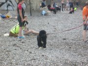 Превью фото № 136293