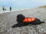 Превью фото № 136294