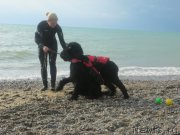 Превью фото № 136295