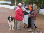 Превью фото № 136301