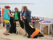 Превью фото № 136307