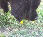 Превью фото № 13631