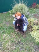 Превью фото № 136321