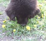 Превью фото № 13633