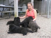 Превью фото № 136336