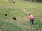 Превью фото № 136337