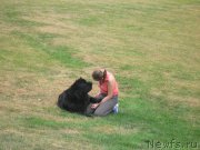 Превью фото № 136339