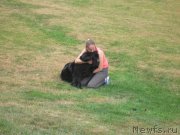 Превью фото № 136341