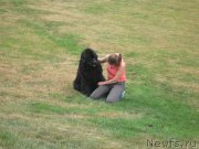 Превью фото № 136343