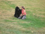 Превью фото № 136344