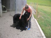 Превью фото № 136345