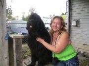 Превью фото № 136349