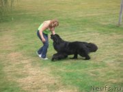 Превью фото № 136350