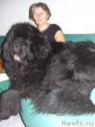 Превью фото № 136477