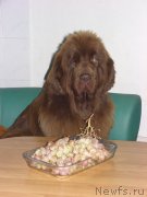 Превью фото № 136479