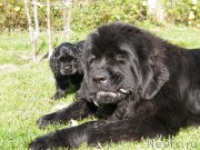 Превью фото № 136502