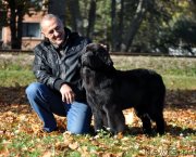 Превью фото № 136549