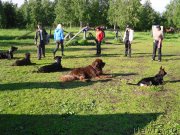 Превью фото № 136552