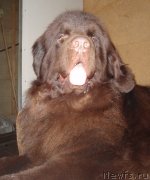 Превью фото № 136559