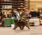 Превью фото № 136592