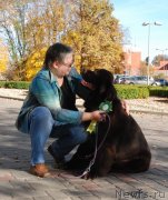 Превью фото № 136598