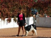 Превью фото № 136619