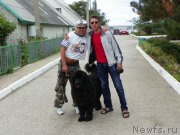 Превью фото № 136621