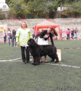 Превью фото № 136667