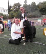 Превью фото № 136668