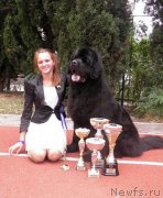 Превью фото № 136669