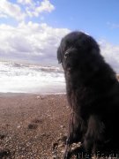 Превью фото № 136670