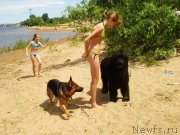 Превью фото № 136680