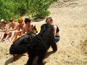 Превью фото № 136681