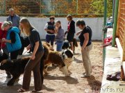 Превью фото № 136712