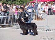 Превью фото № 136715