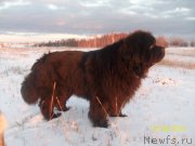 Превью фото № 136766