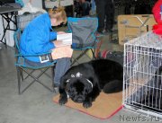 Превью фото № 136860