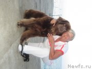 Превью фото № 136864