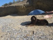 Превью фото № 136870