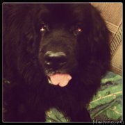 Превью фото № 136881