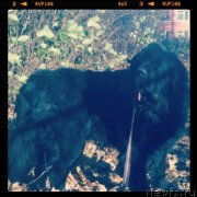 Превью фото № 136884