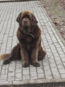 Превью фото № 136886