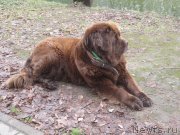 Превью фото № 136887