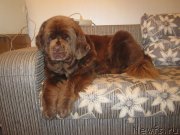 Превью фото № 136888