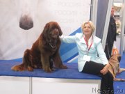 Превью фото № 136891