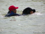 Превью фото № 136948