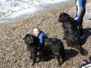 Превью фото № 136954