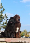 Превью фото № 136957