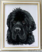 Превью фото № 137047