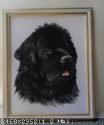 Превью фото № 137049